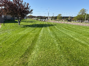 Before and after lawn care service on a large commercial lot.