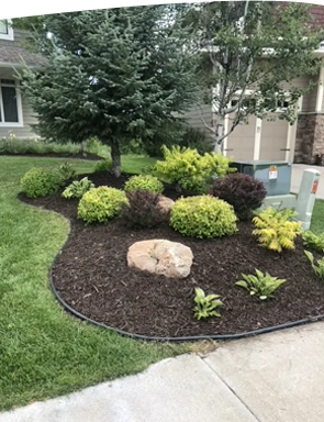 A picture of Professional Landscaping in Minnetonka MN from David's Lawn Service