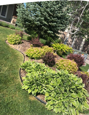 Landscaping Minnetonka, MN