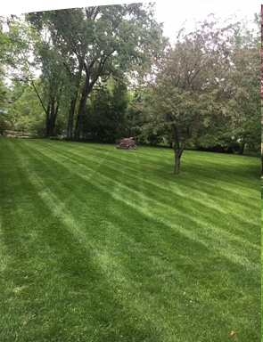 Lawn Care Maple Grove, MN