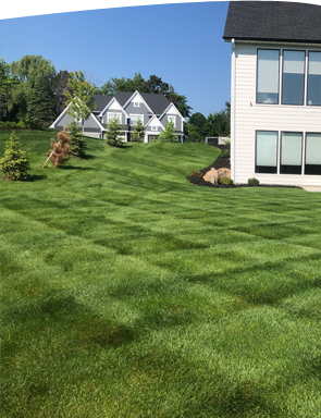 fertilization Maple Grove Minnesota