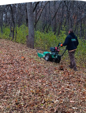 David's Lawn doing Spring and Fall Cleanup doing leaf removal