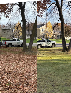 Leaf Cleanup Plymouth Minnesota