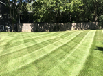 Lawn Care Near Me
