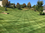 Lawn Care Near Me